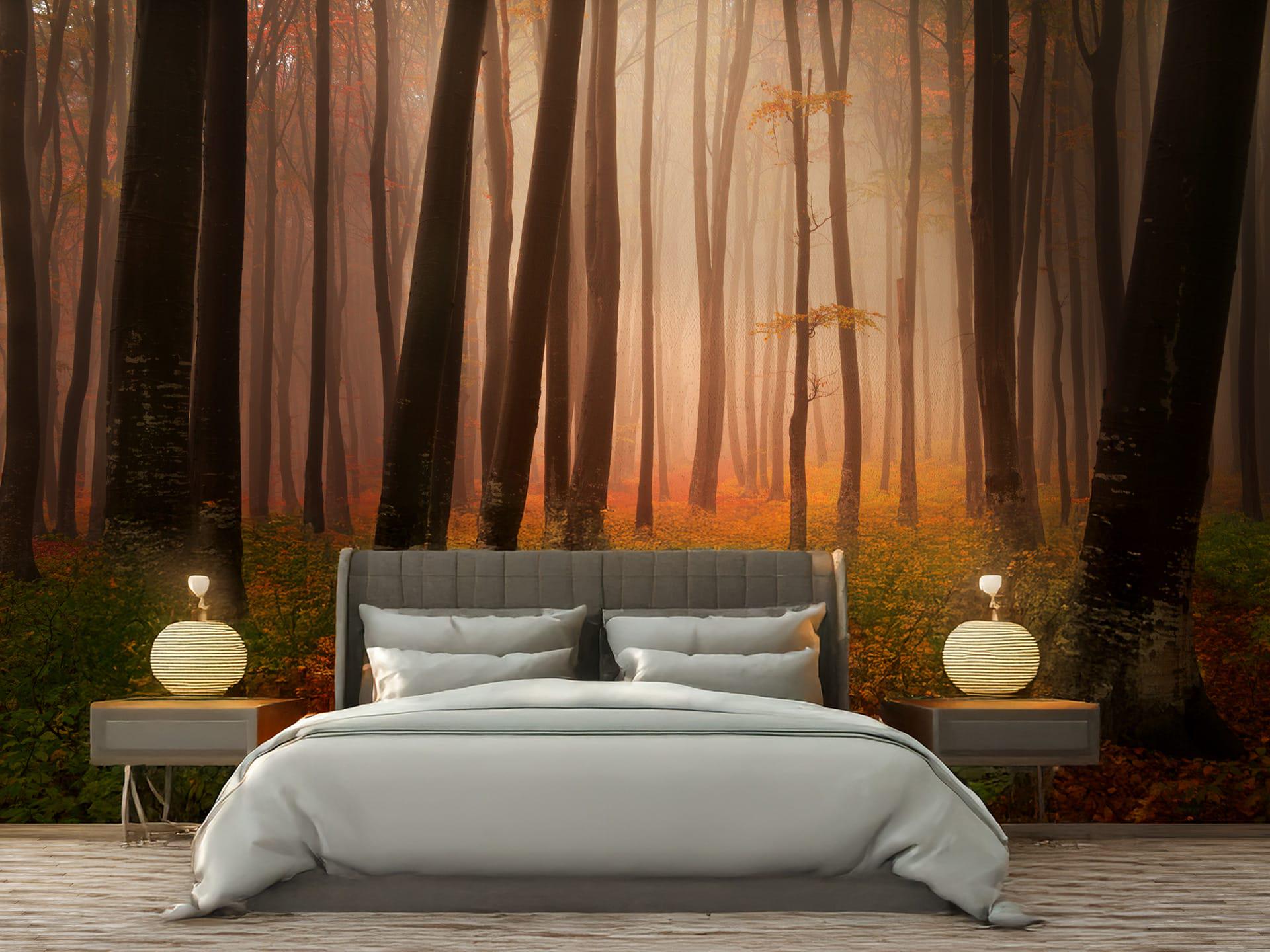 Фотообои флизелиновые Styleo Print-walls Осень в лесу 0268 400х250 см (Pw-0268/4) Фотообои флизелиновые Styleo Print-walls Осень в лесу 0268 400х250 см (Pw-0268/4)