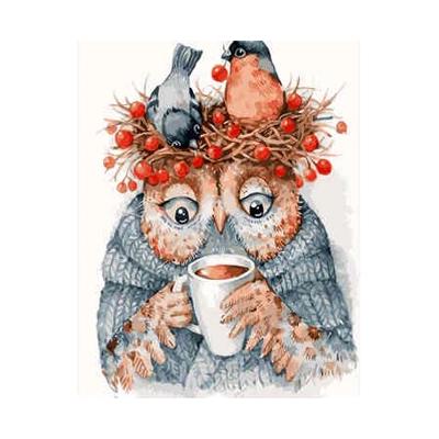 Картина по номерам Strateg Птицы Сонливая сова в термопакете 40х50 см (VA-2067-mt)