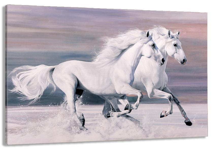 Картина на холсте в гостиную/спальню Пара коней 40х80 см (MLP_256)