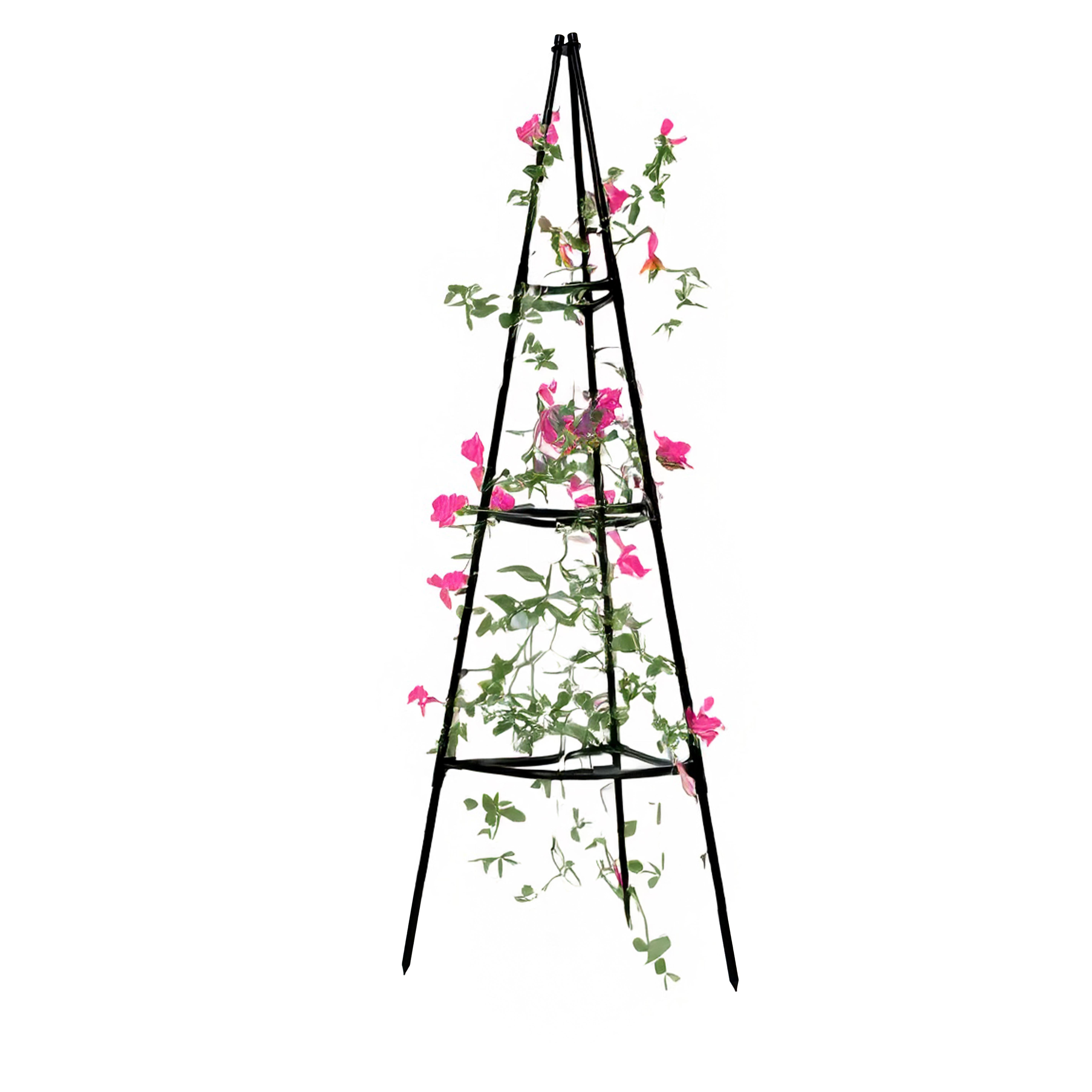 Опора для клематисів і троянд Tea Rose Piramida пірамідальна металева Чорний (27419459) Опора для клематисів і троянд Tea Rose Piramida пірамідальна металева Чорний (27419459)
