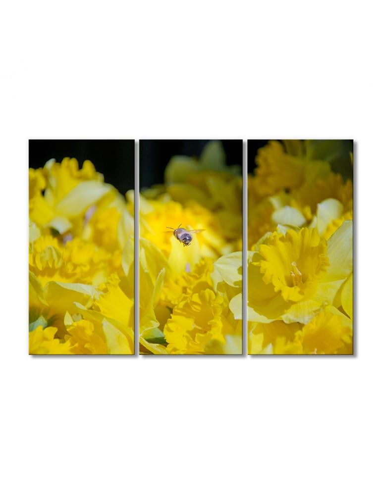 Картина модульная Пчела над растениями 3 модуля 70x105 см (125705Pticy_i_nasekomye)