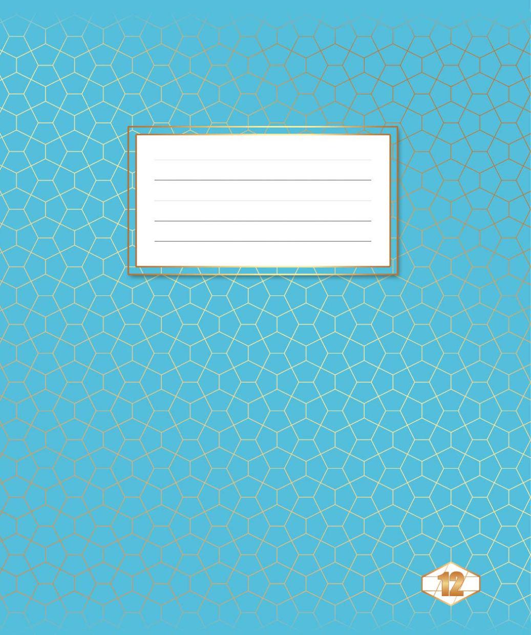 Зошити учнівські Тетрада Фоновий шкільний в косу лінію 12 арк. 25 шт. (MTT-130600)