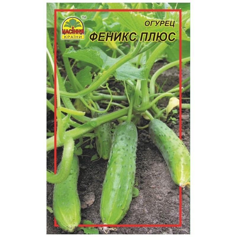Насіння огірка Насіння країни Фенікс плюс 0,5 г (1137297692)