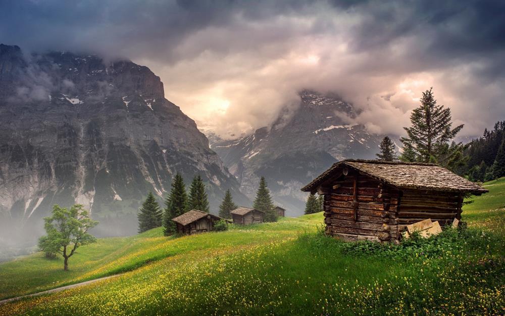 Картина на холсте Природа 50х70 см (N288)