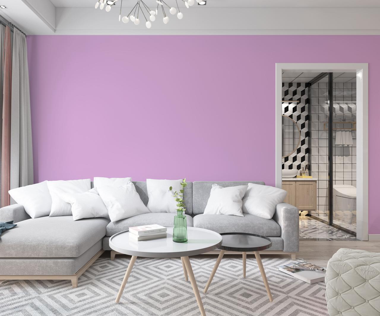 Фарба інтер'єрна латексна Skyline 1030-R40B 3 л Бузковий (686b9084e1a1ec59497f9ae4) - фото 3 Фарба інтер'єрна латексна Skyline 1030-R40B 3 л Бузковий (686b9084e1a1ec59497f9ae4) - фото 3