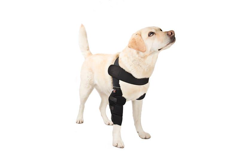 Бандаж для собак Frakishtak поддержка локтевого сустава на праву лапу L Черный (28436723) - фото 3 Бандаж для собак Frakishtak поддержка локтевого сустава на праву лапу L Черный (28436723) - фото 3