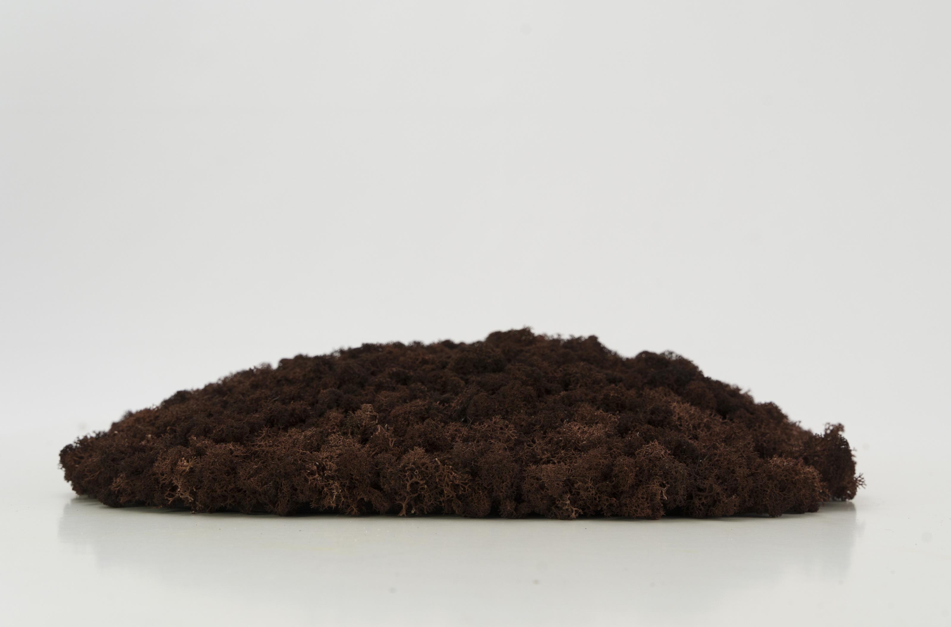 Декоративне панно з моху Organic Design d 33 см Brown (701-09) - фото 3 Декоративне панно з моху Organic Design d 33 см Brown (701-09) - фото 3