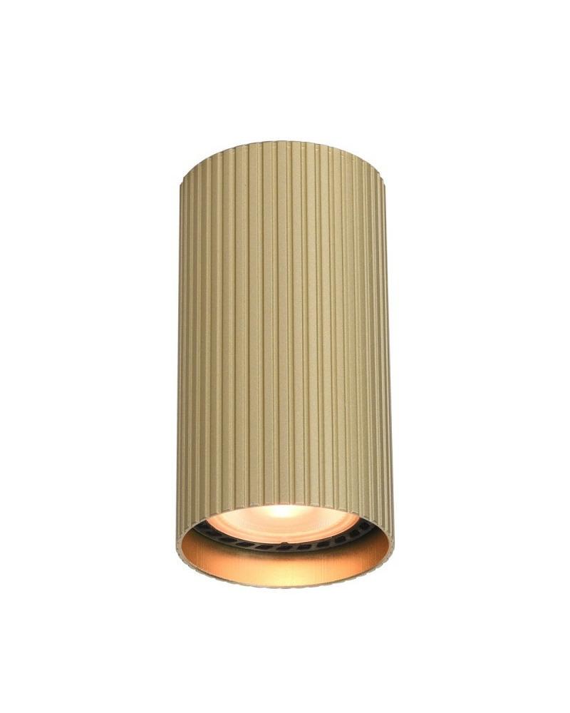 Точковий світильник Italux CLN-83920-S-GD Rilok GU10 1x10W IP20 Gold (24439235)