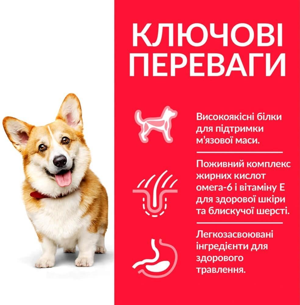 Сухий корм для дорослих собак дрібних порід Hill's SP Small&Mini Chicken з куркою 3 кг (052742282206) - фото 3