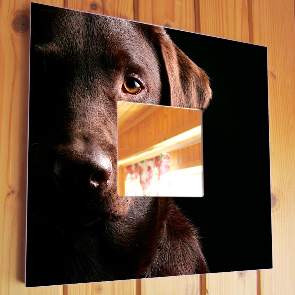 Зеркало декоративное Шоколадный Лабрадор 260х260 мм (M03736)