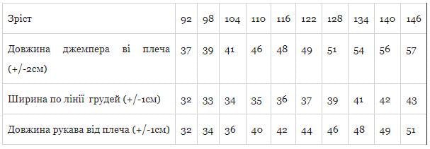 Джемпер для хлопчика Носи своє 92 см Чорний (6069-023-4-v5) - фото 2