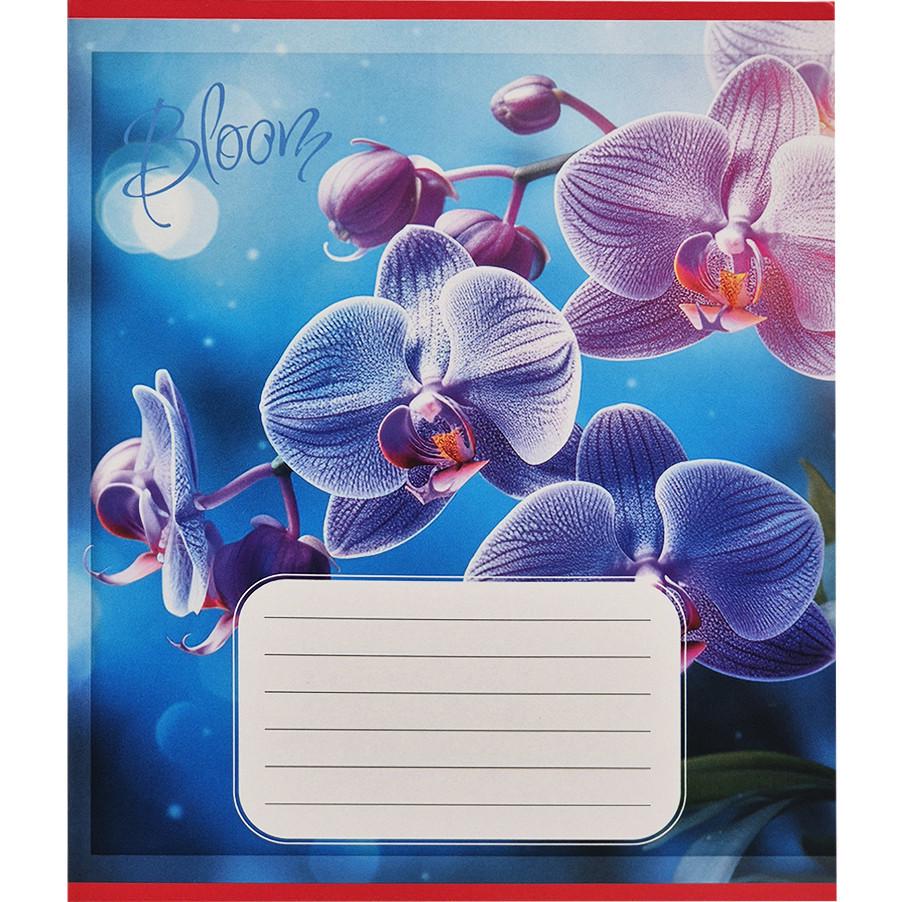 Шкільний зошит Орхідеї 018-530261K-3 в клітинку 18 аркушів (RLT55224)