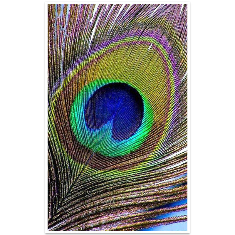 Мозаика алмазная Lesko DIY K393 Перо павлина 30х48 см