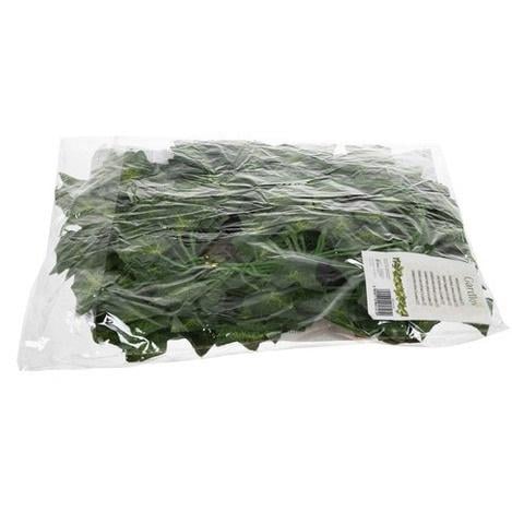 Плющ искусственный декоративный отделки интерьера 12,6 м Зеленый - фото 12