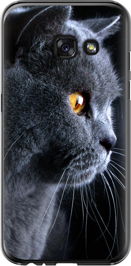 Чехол на Samsung Galaxy A3 (2017) Красивый кот (3038t-443-42517)