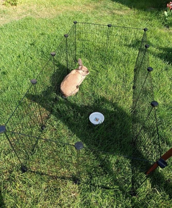 Клітка для гризунів 46х143х73 см - фото 31 Клітка для гризунів 46х143х73 см - фото 31