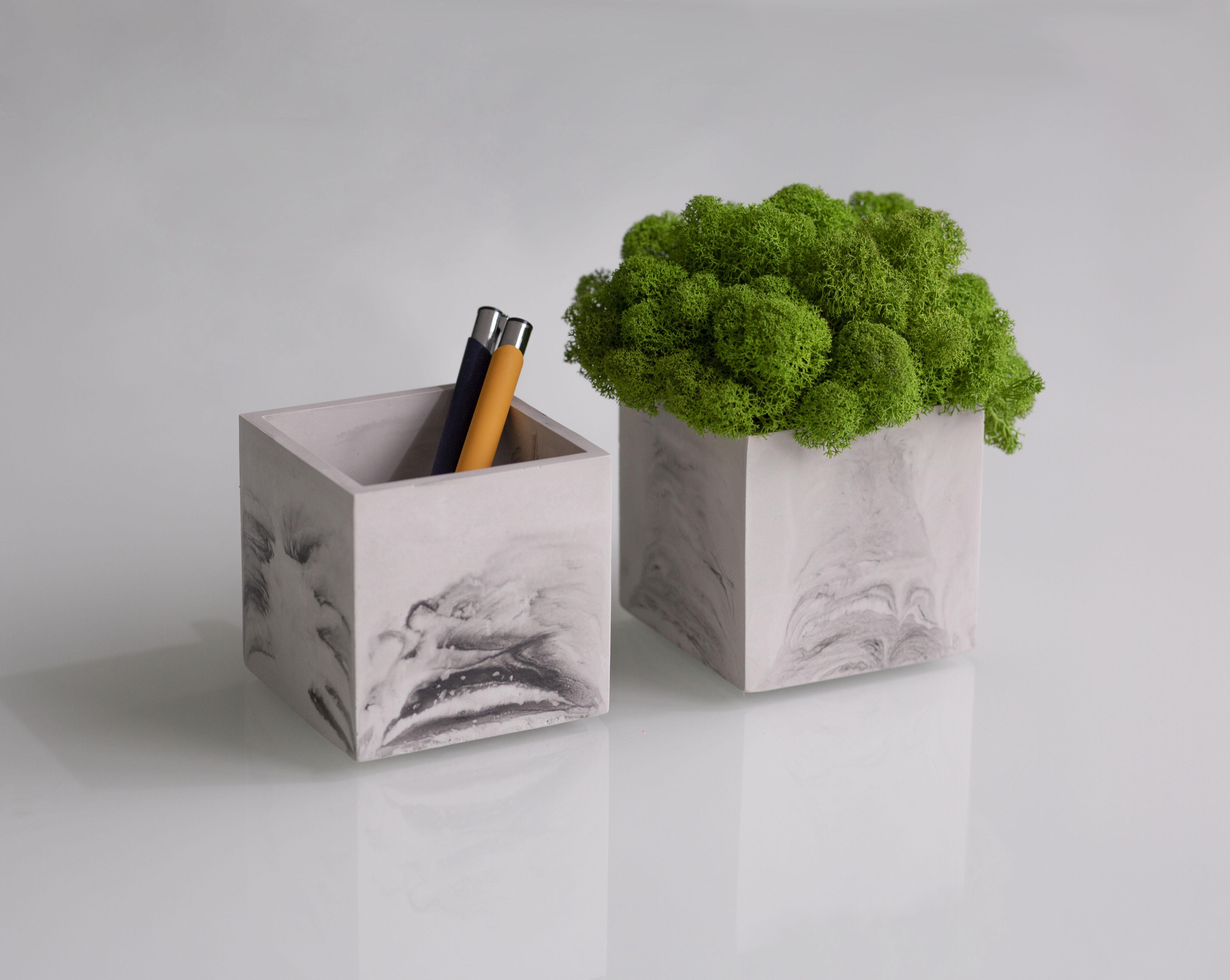 Набор подставка-органайзер для ручек/карандашей/канцелярии с мхом CUTE Black