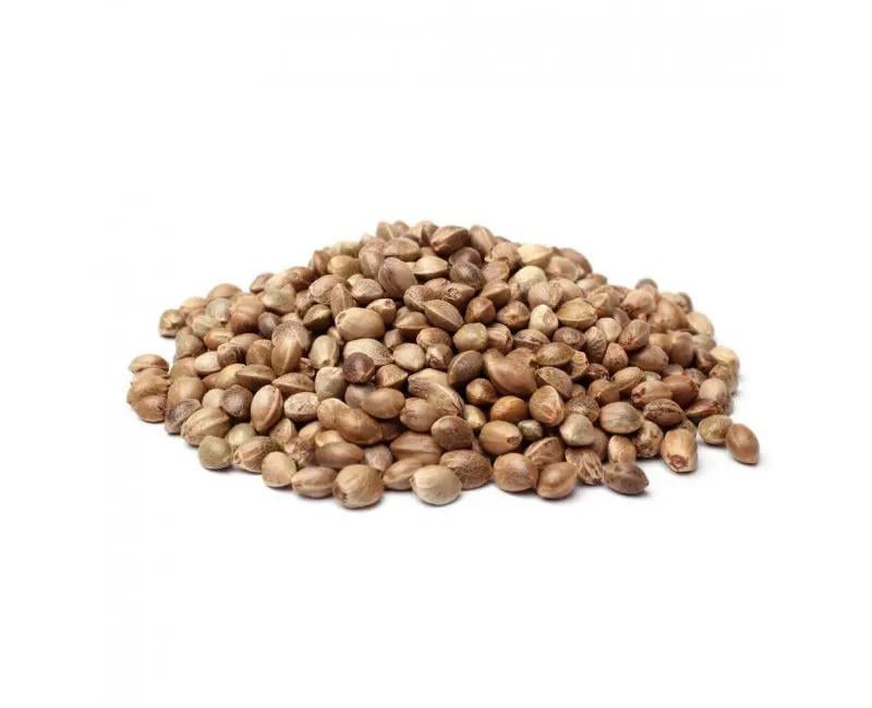 Конопля зерна технічні для риболовлі 1 кг (KL1)