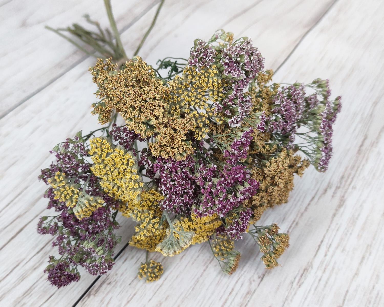 Сухоцвет тысячелистник микс 15-17 веток
