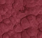 Эмаль молотковая Rolax Hammer 3в1 2 л Рубин (29/1402) - фото 2