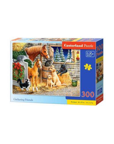 Пазл Встреча друзей 300 элементов (B-030255-CS)