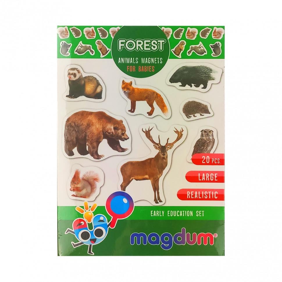 Магніти розвиваючі Magdum ламіновані від 3 років Срібний (IG-173-N-429)