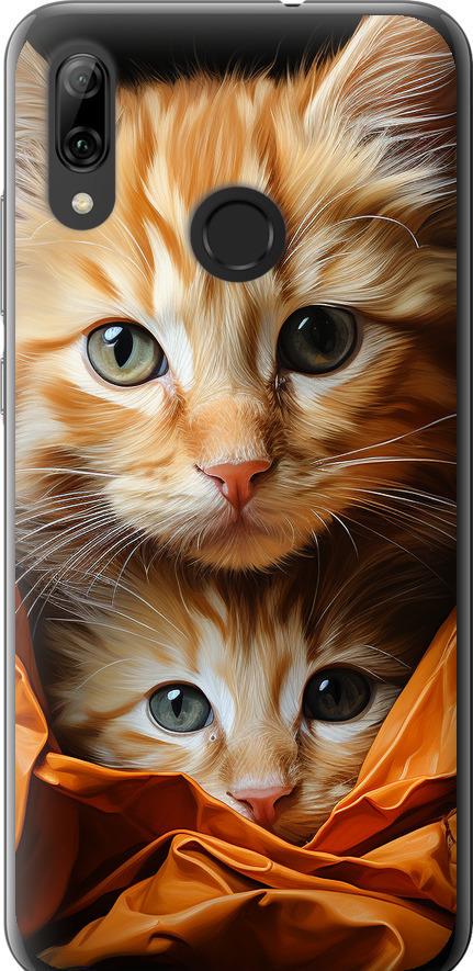 Чехол на Huawei P Smart 2019 Котики 2 (5664u-1634-42517)