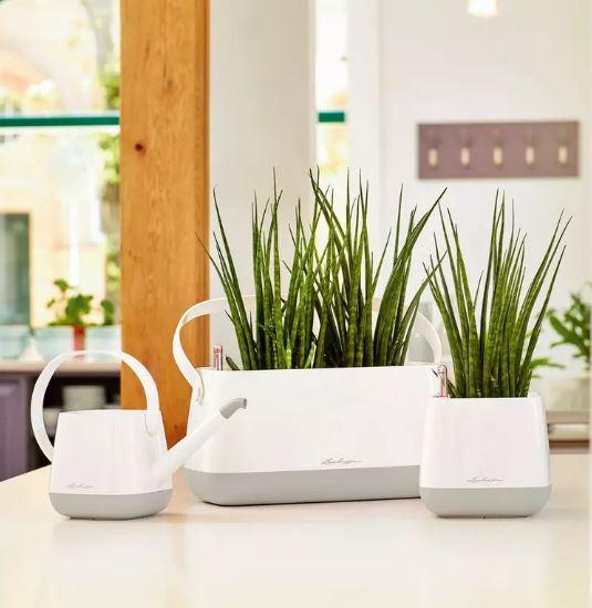 Лейка Lechuza Yula 30x14x22 см Белый/Розовый (A-013632) - фото 4 Лейка Lechuza Yula 30x14x22 см Белый/Розовый (A-013632) - фото 4