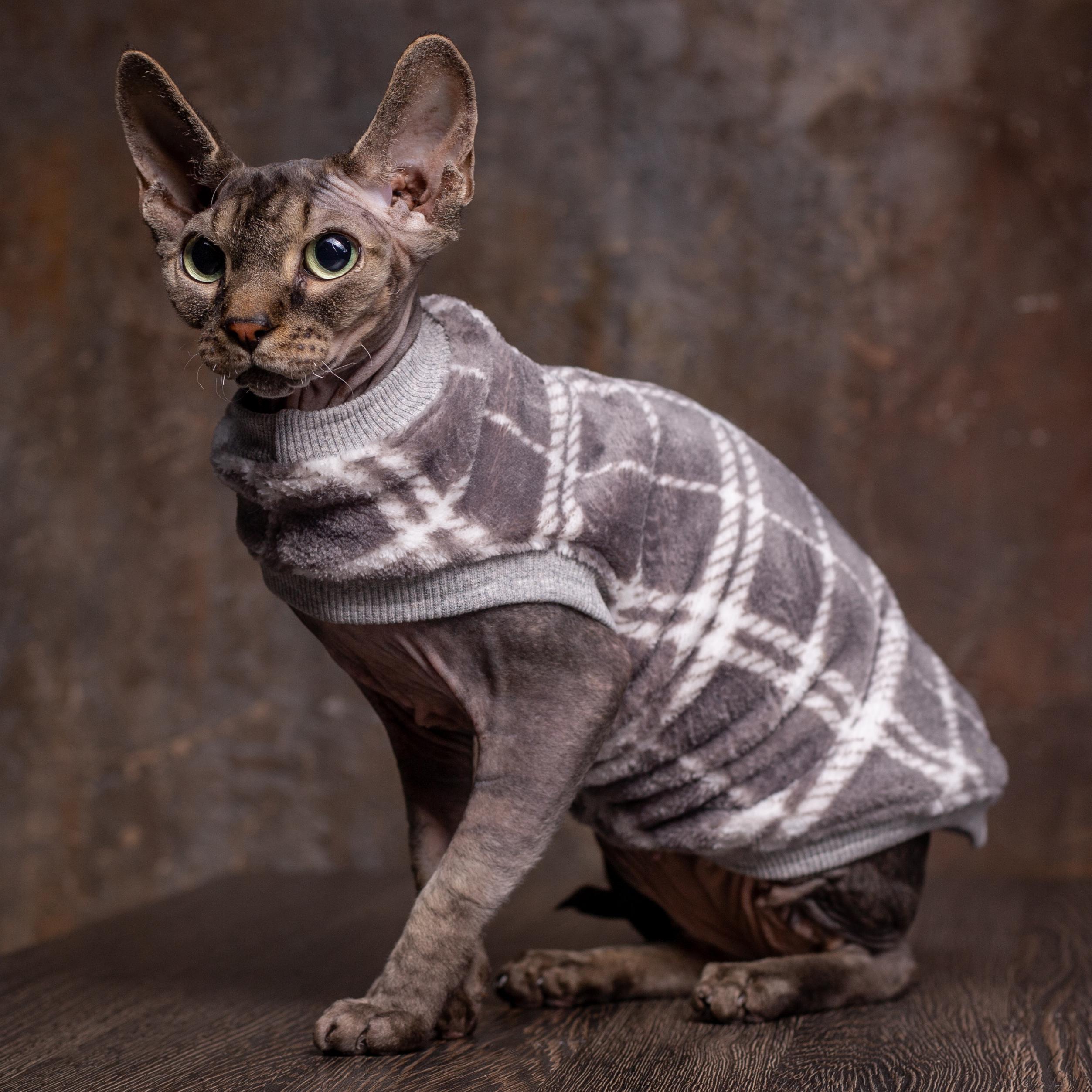 Кофта для кошек без рукавов теплая Style Pets GUCH XL (381XL) - фото 5