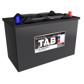 Акумулятор тяговий TAB Motion Tub C20 110Ah 1200 циклів 303x175x228 мм B1 правий  (9270971)