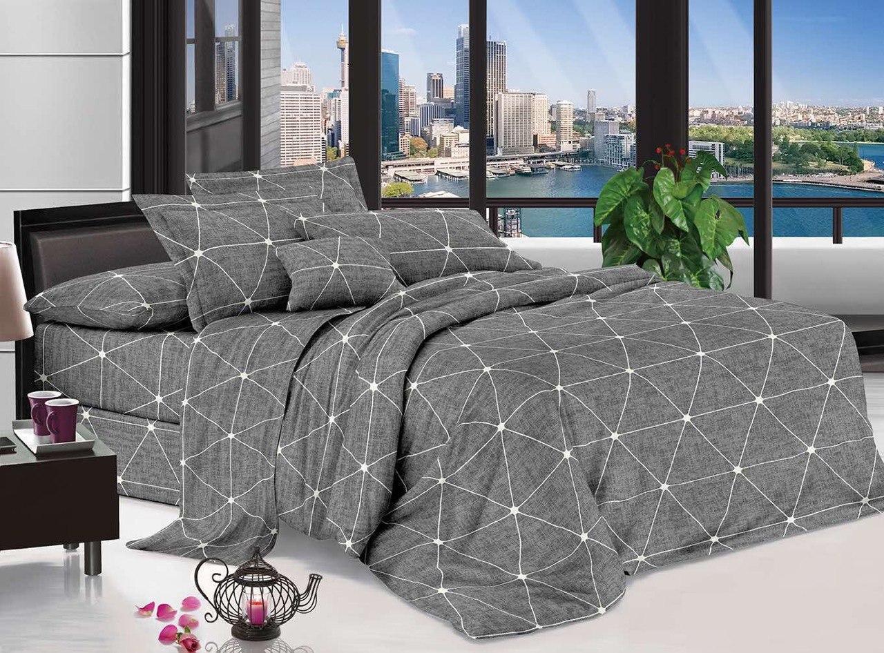 Комплект постільної білизни Вектор євро бязь 200x215 см (mc2020673)