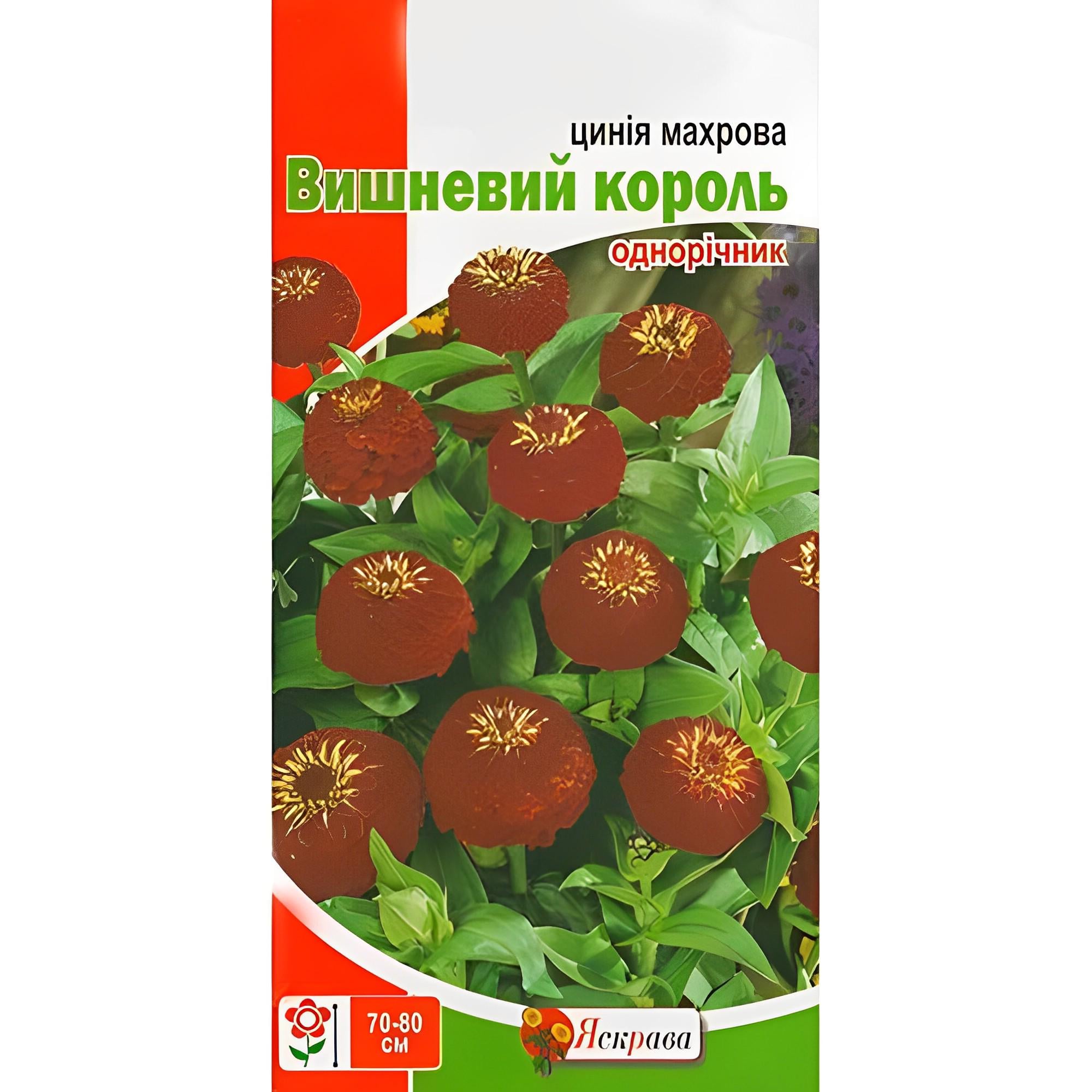 Семена Циния Florium Махровая Вишневый король (12295)