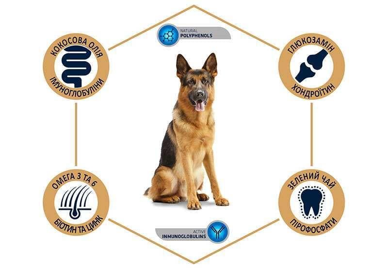 Корм сухий для собак породи німецька вівчарка Advance Dog German Shepherd Turkey з м'ясом індички 12 кг (923671/8410650171579) - фото 2