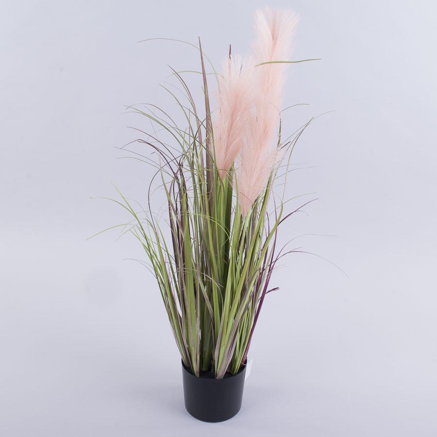 Трава пампас цветной в горшке 75см (розовый)