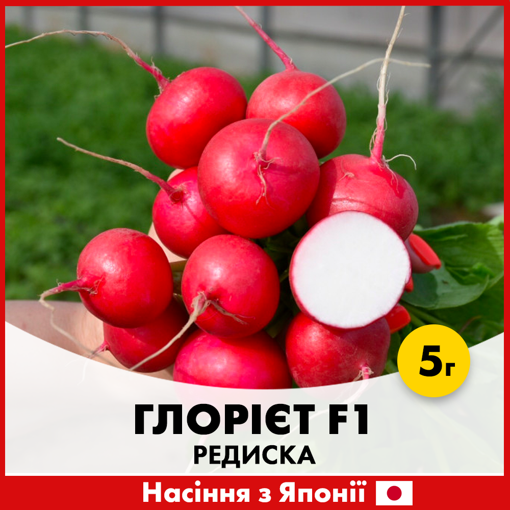 Насіння редисуки Sakata Глорієт F1 5г (R1-5)