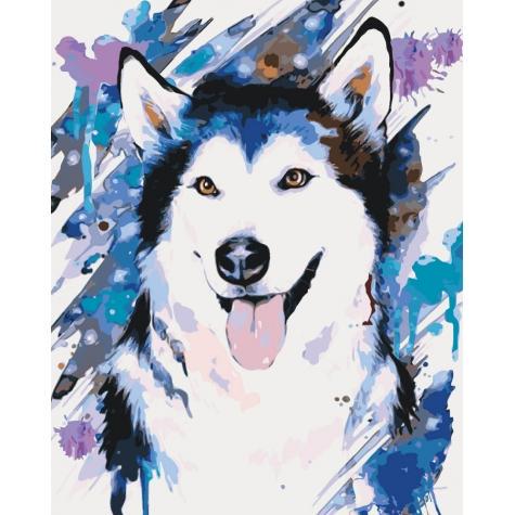 Набор для росписи по номерам Идейка Животные птицы Озорная хаски 40х50 см (КНО4045-mt)