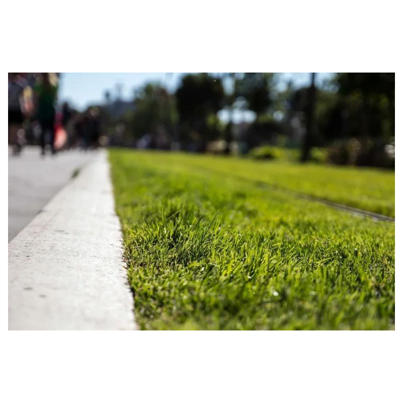 Газон для придорожного озеленения Трави України 20 кг - фото 3