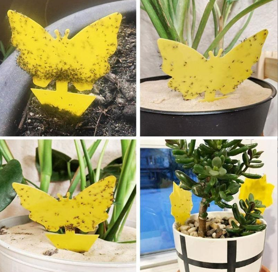 Липка еко пастка для комах Метелик Квітка двостороння 1 шт. (21233892) - фото 5 Липка еко пастка для комах Метелик Квітка двостороння 1 шт. (21233892) - фото 5