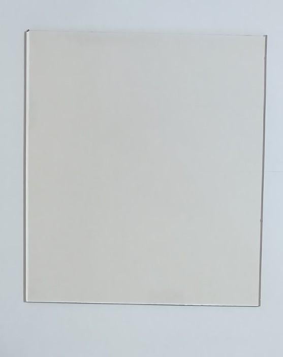 Скло для каміна та печі NEOCERAM вогнетривке жаростійке 200х400 мм (25439781)