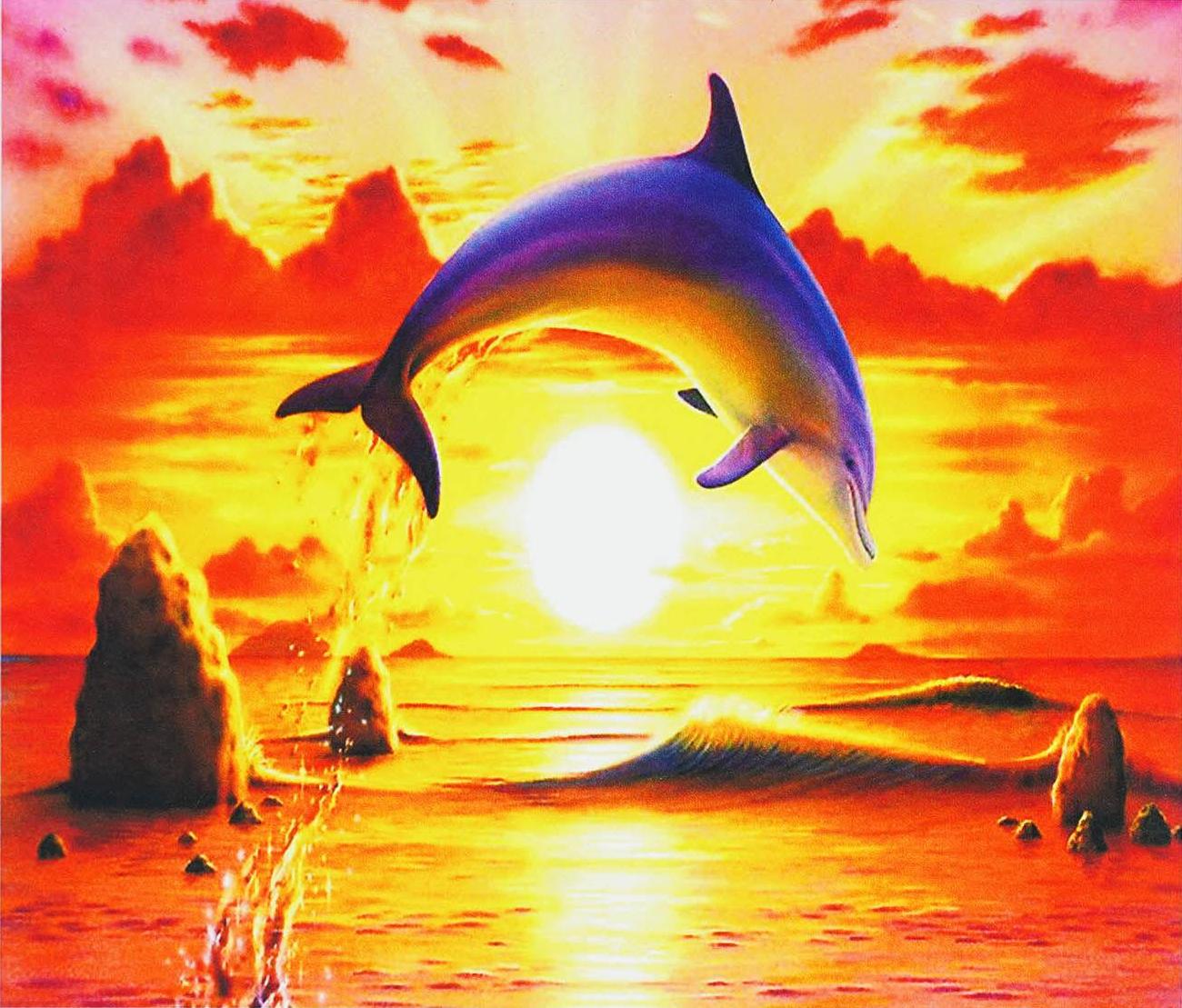 Алмазная мозаика-картина по номерам TK Group B 76274/30 Дельфин в коробке 40х50 см (24710404)