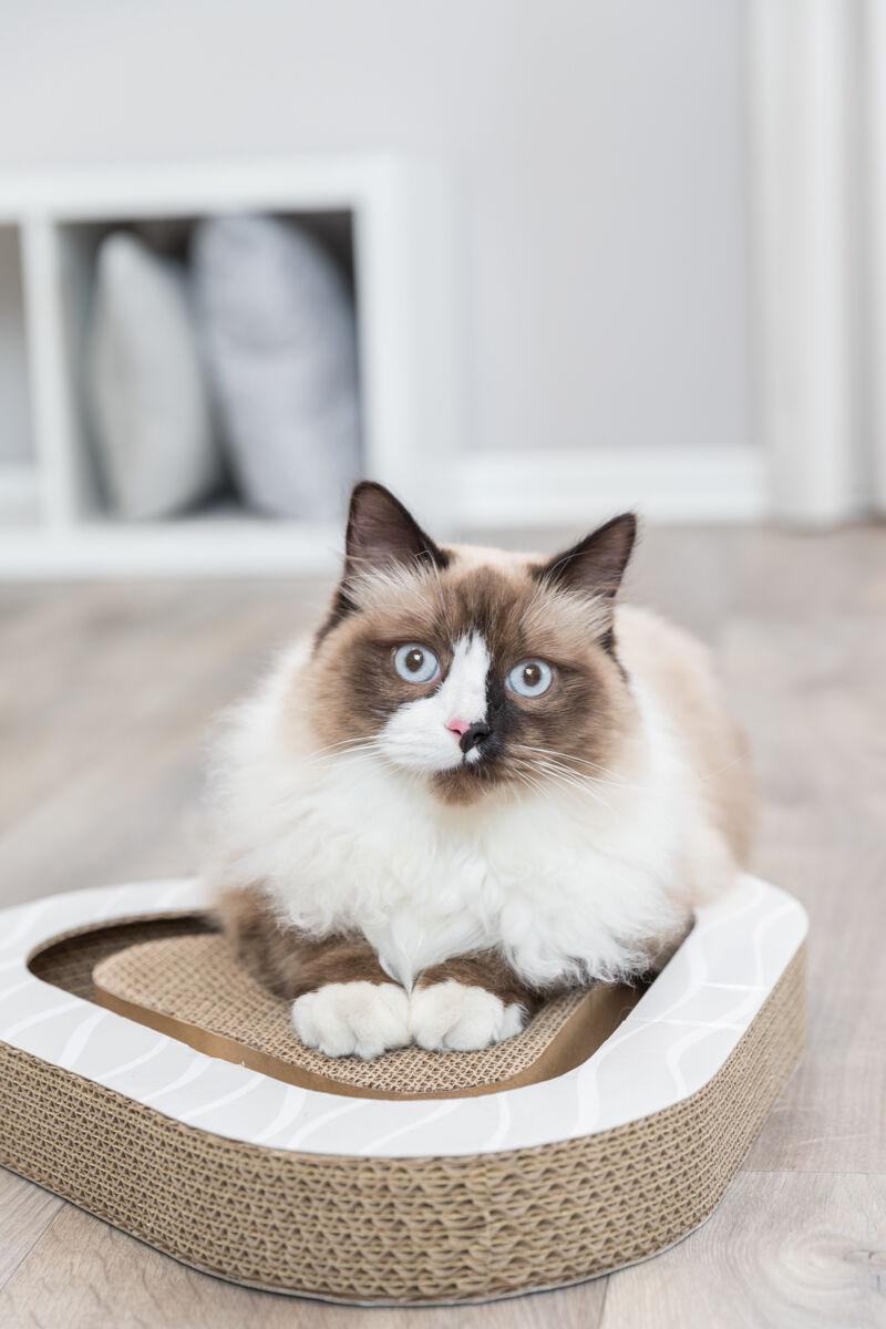 Кігтеточка трикутна для кішок Trixie Scratching Cardboard з м'ячиками (80091) - фото 4 Кігтеточка трикутна для кішок Trixie Scratching Cardboard з м'ячиками (80091) - фото 4