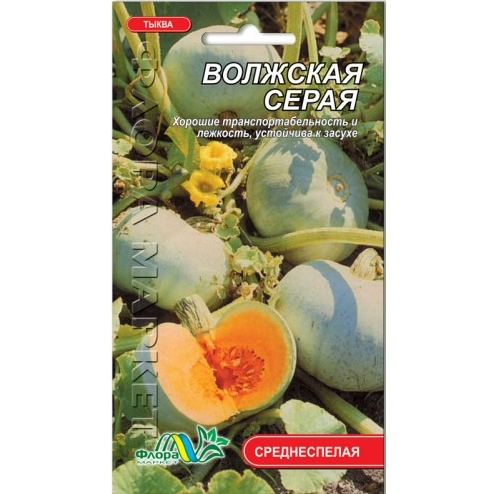 Насіння гарбуза Волзька сіра середньоплюснута ранній 5 г (27084)