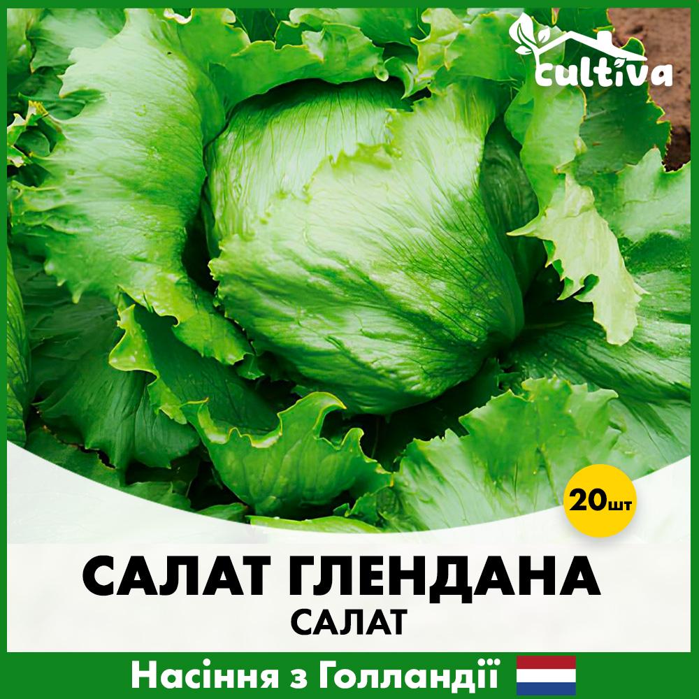 Семена салата в айсберге Enza Zaden Глендана 20 шт. (Y2000)