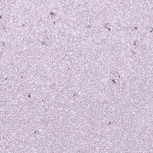 Жидкие обои Макс-Колор №1112