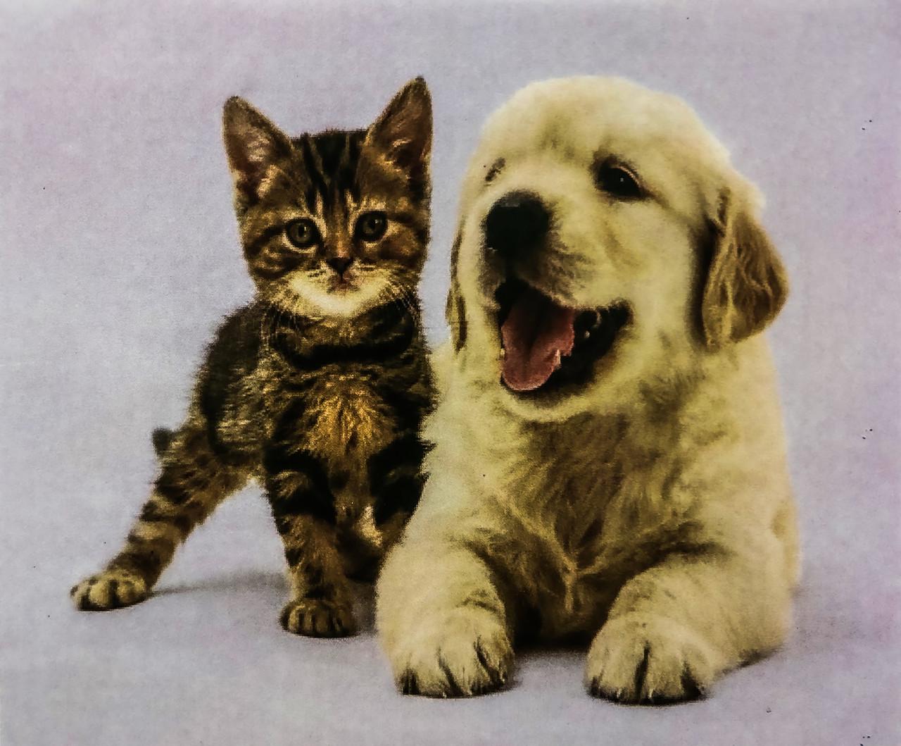 Набір алмазної вишивки на підрамнику Маленькі друзі 40x30 см (АЛП-455)