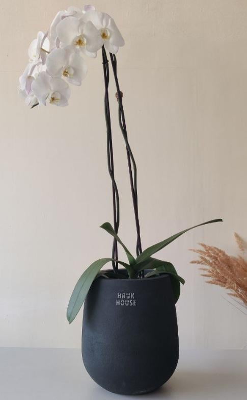 Вазон вуличний бетонний Ольвіо міні 300х340 мм/11 кг/14 л (26515081) - фото 3 Вазон вуличний бетонний Ольвіо міні 300х340 мм/11 кг/14 л (26515081) - фото 3