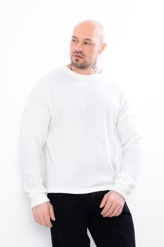 Джемпер чоловічий Носи своє р. 54 Молочний (15257)