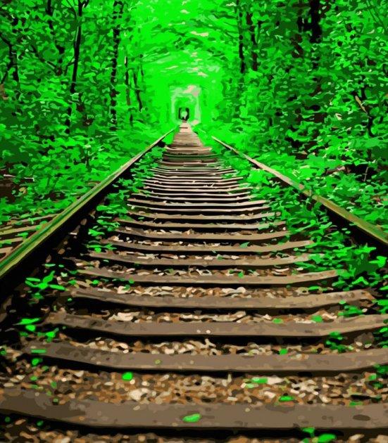 Картина по номерам Strateg Тоннель любви с лаком и уровнем 40x50 см (SY6556)