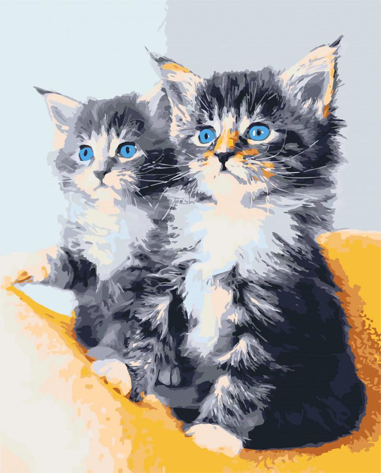 Картина по номерам ART CRAFT Голубоглазые котята 40x50 см (11617-AC)
