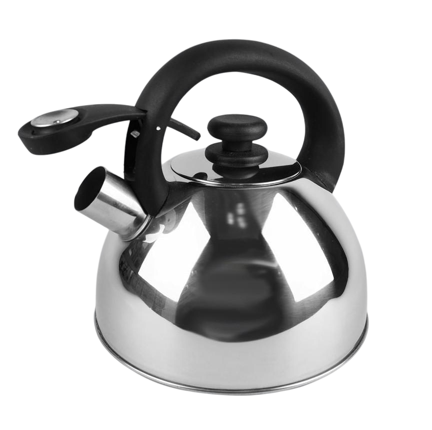 Чайник Maestro MR-1302 со свистком из нержавеющей стали 2,5 л (1800346440)